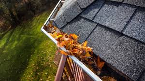 Gutter and Roof Cleaning Dublin